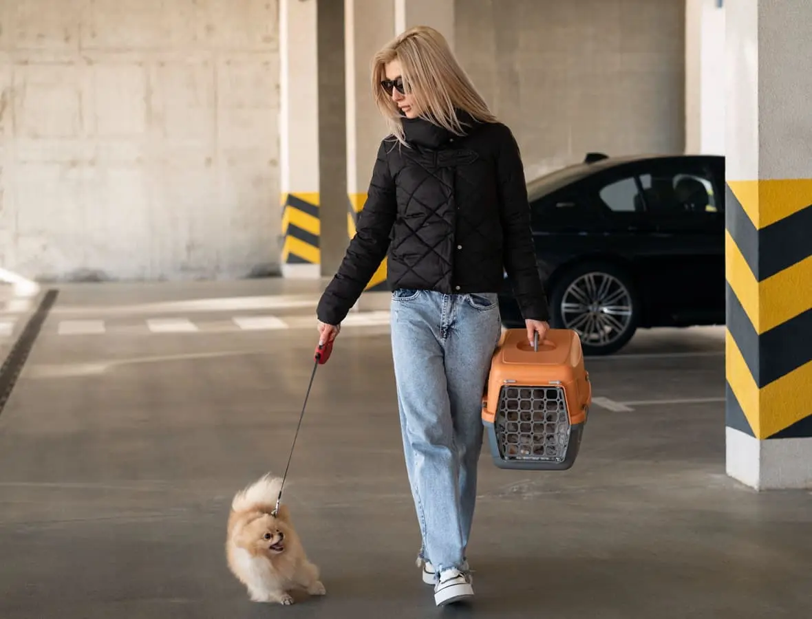 pet travel services business